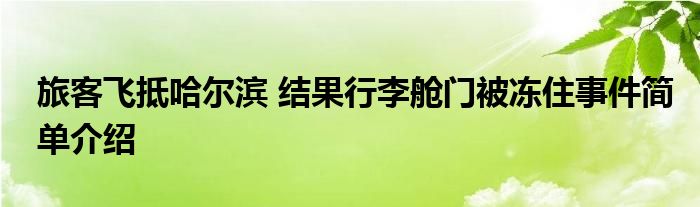 691ed56582e1f901bdde7907e53e01a6691_t.jpg